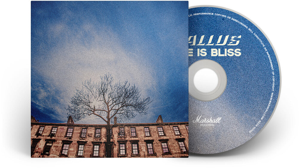 Pre-Order: Life Is Bliss Music CD