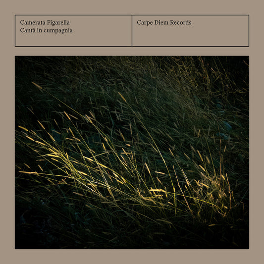 the album cover for Camerata Figarella - Canta In Cumpagnia