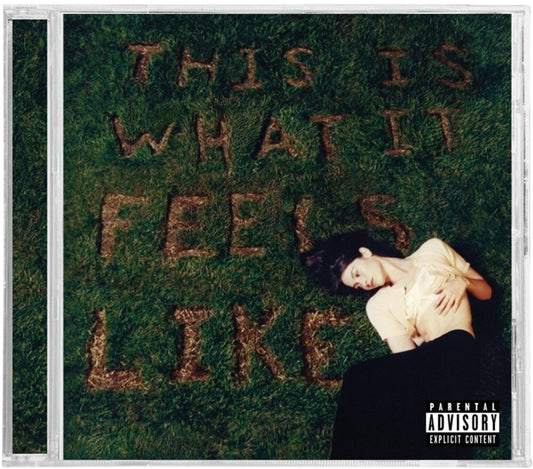the album cover for Gracie Abrams - This Is What It Feels Like