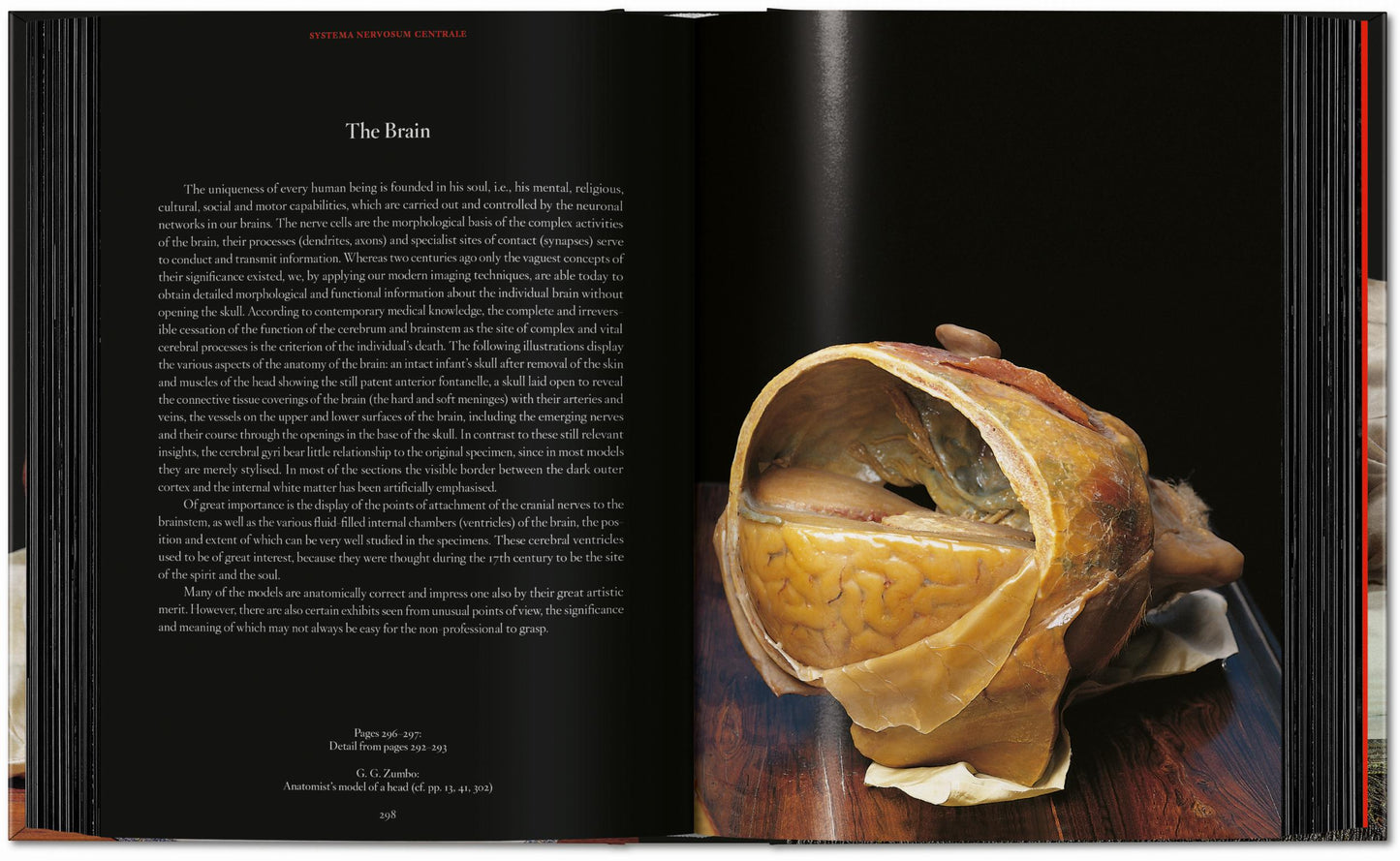 Anatomical Waxes. 45th Ed. (German, French, English) Book