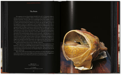 Anatomical Waxes. 45th Ed. (German, French, English) Book