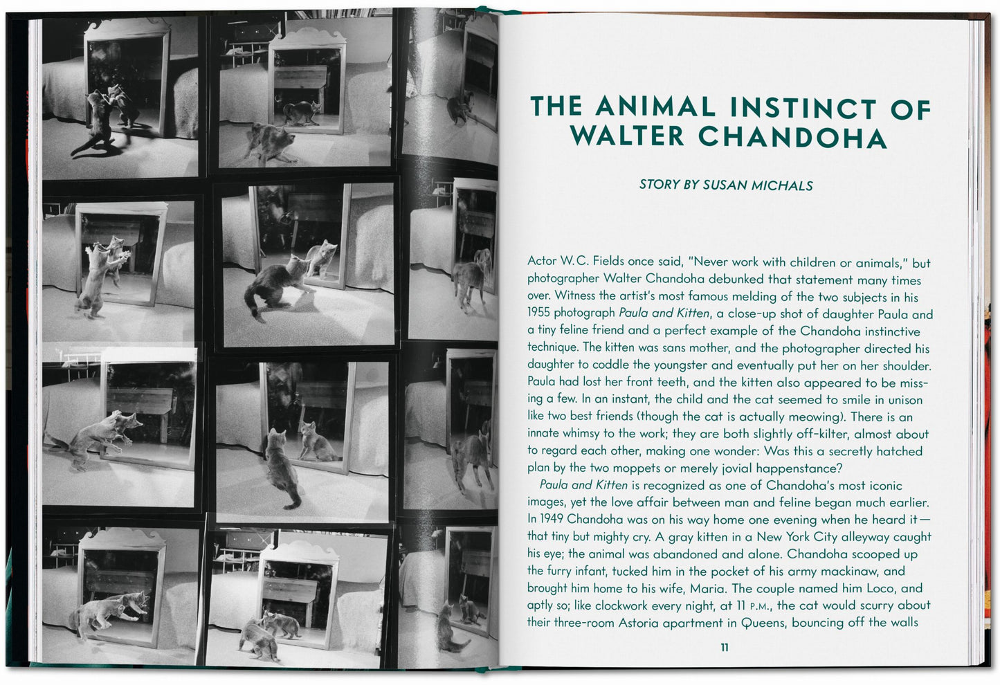 Walter Chandoha. Cats. Photographs 1942–2018 (English) Book
