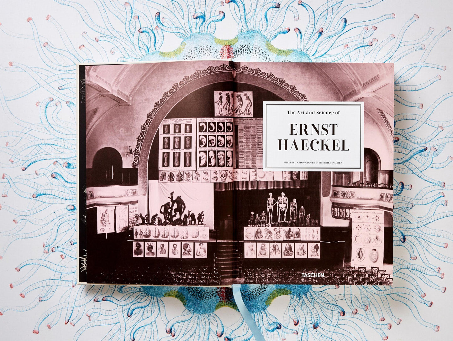 The Art and Science of Ernst Haeckel (German, French, English) Book