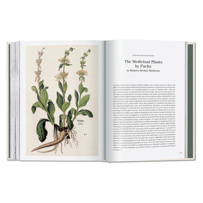 Leonhart Fuchs. The New Herbal (German, French, English) Book
