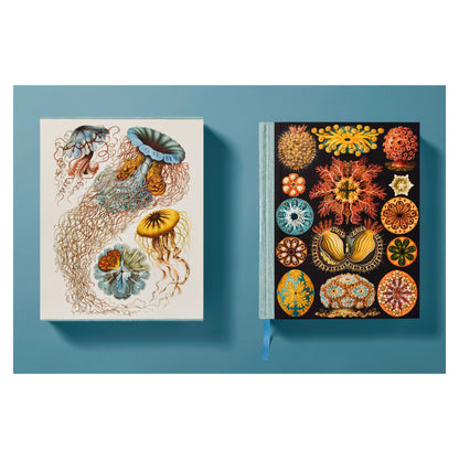 The Art and Science of Ernst Haeckel (German, French, English) Book