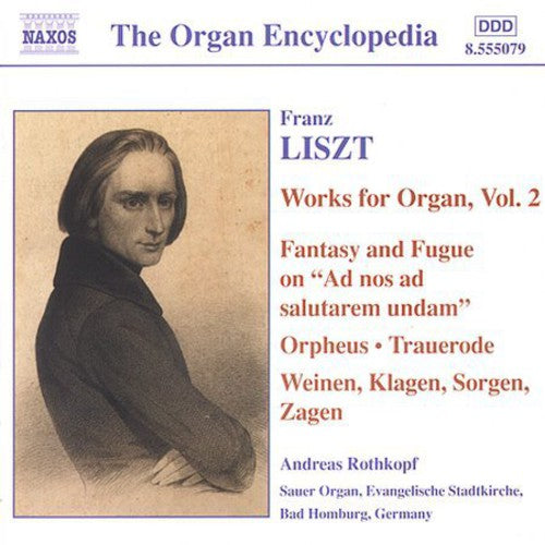 Liszt / Rothkopf - Works For Organ 2 - Music CD