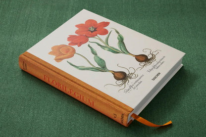 Basilius Besler. The Garden at Eichstätt (German, French, English) (FFE) Book