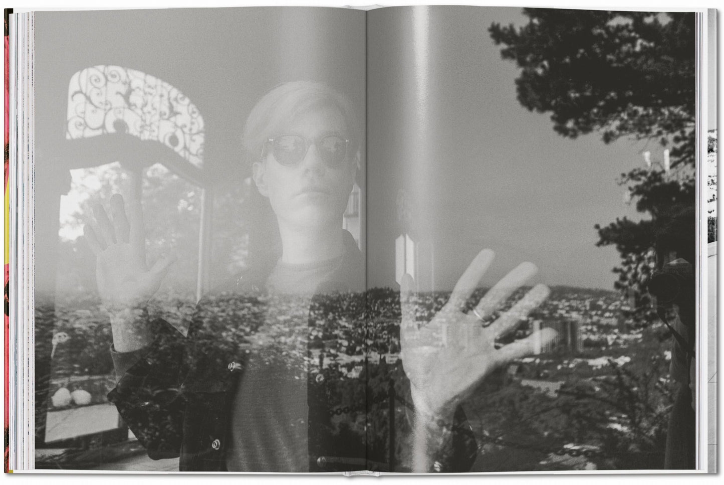 Steve Schapiro. Andy Warhol and Friends (English) Book