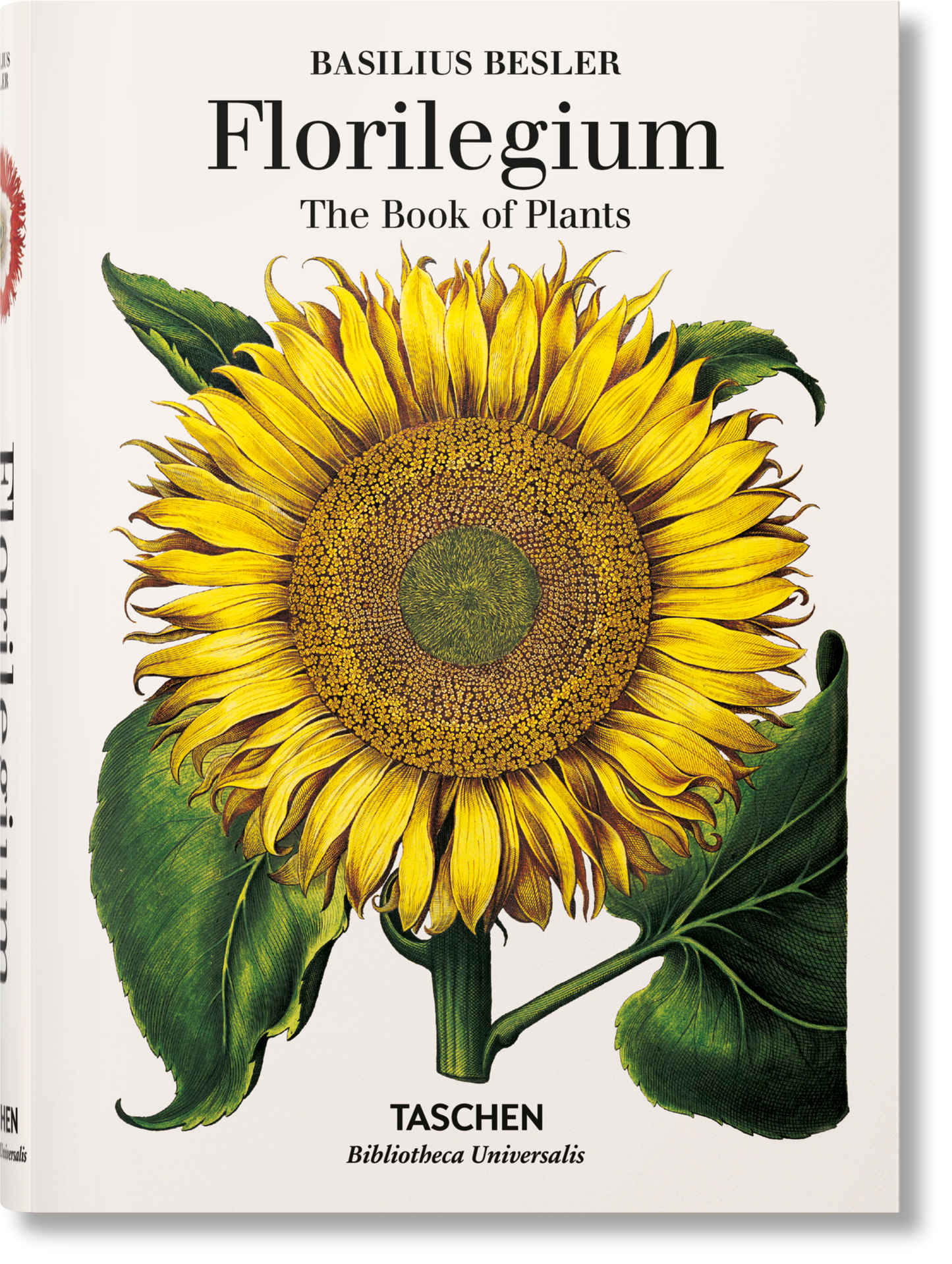 Basilius Besler. Florilegium. The Book of Plants (English) Book