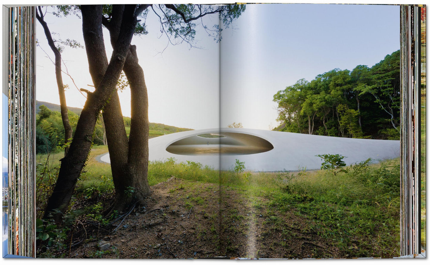 Contemporary Japanese Architecture. 45th Ed. (German, French, English) Book