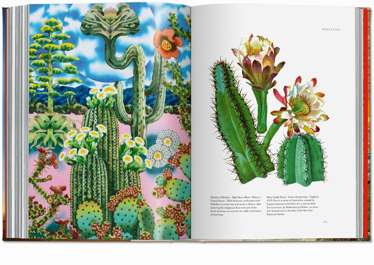 Plant Magick. The Library of Esoterica (English) Book