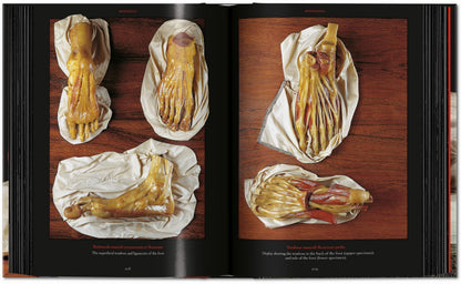 Anatomical Waxes. 45th Ed. (German, French, English) Book