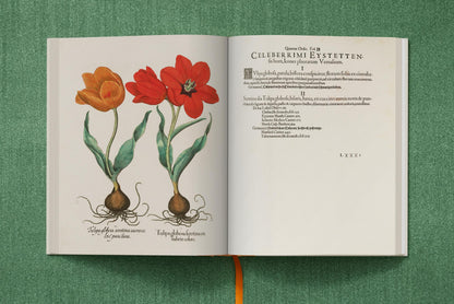Basilius Besler. The Garden at Eichstätt (German, French, English) (FFE) Book