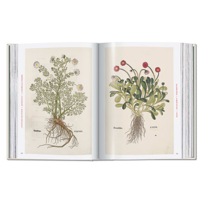 Leonhart Fuchs. The New Herbal (German, French, English) Book
