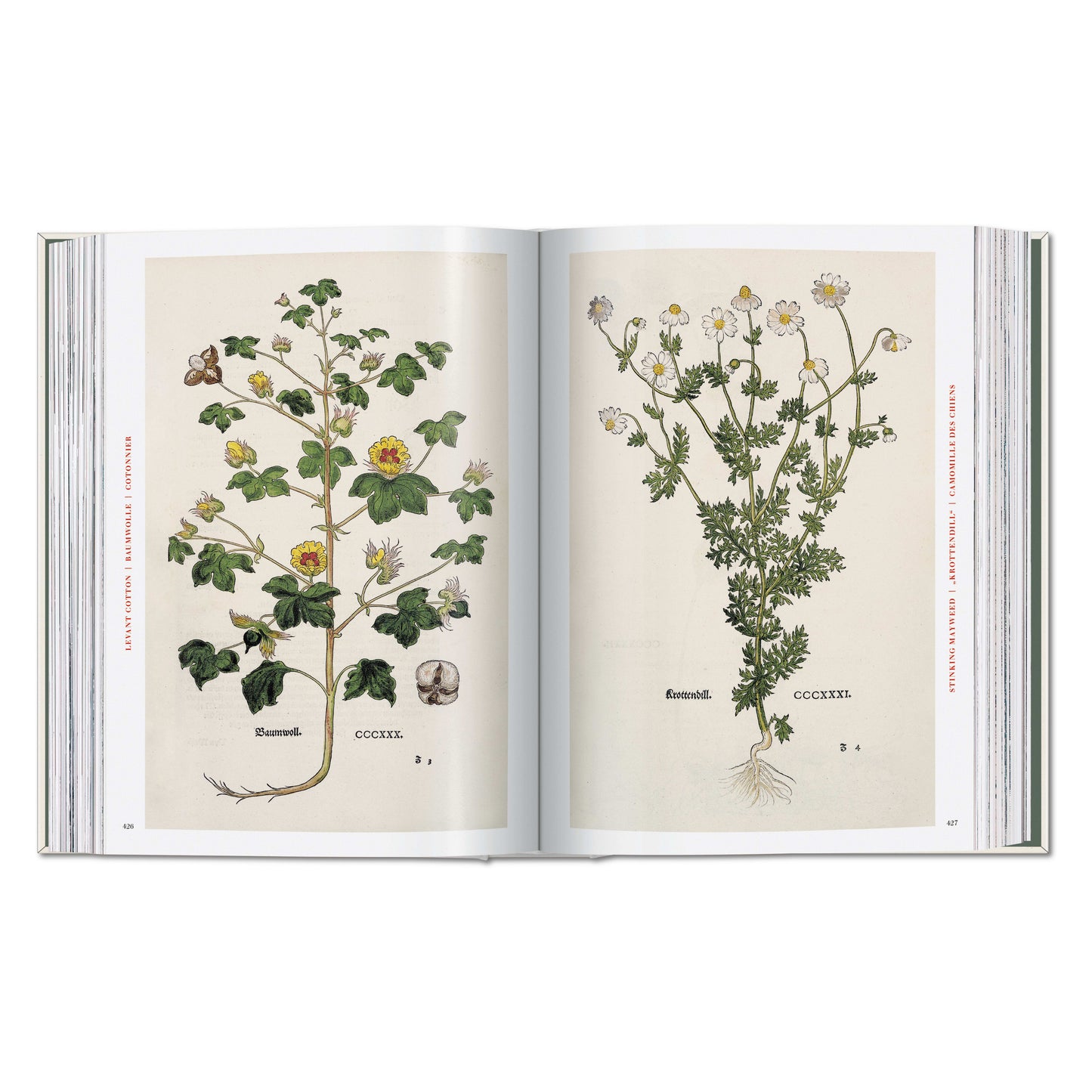 Leonhart Fuchs. The New Herbal (German, French, English) Book