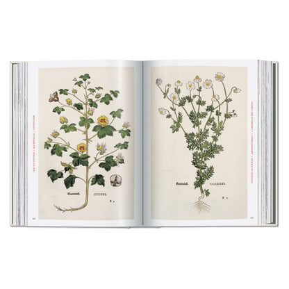 Leonhart Fuchs. The New Herbal (German, French, English) Book