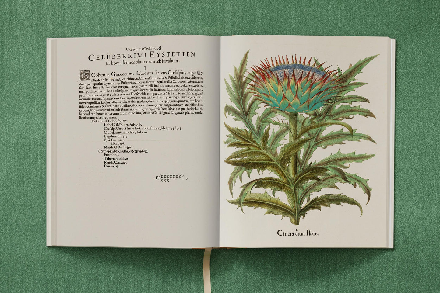 Basilius Besler. The Garden at Eichstätt (German, French, English) (FFE) Book