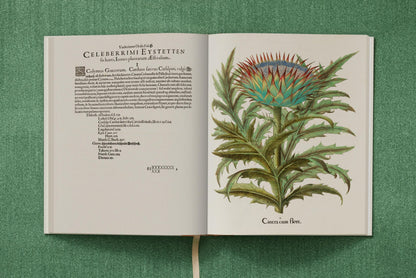 Basilius Besler. The Garden at Eichstätt (German, French, English) (FFE) Book