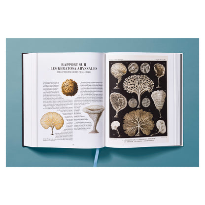 The Art and Science of Ernst Haeckel (German, French, English) Book
