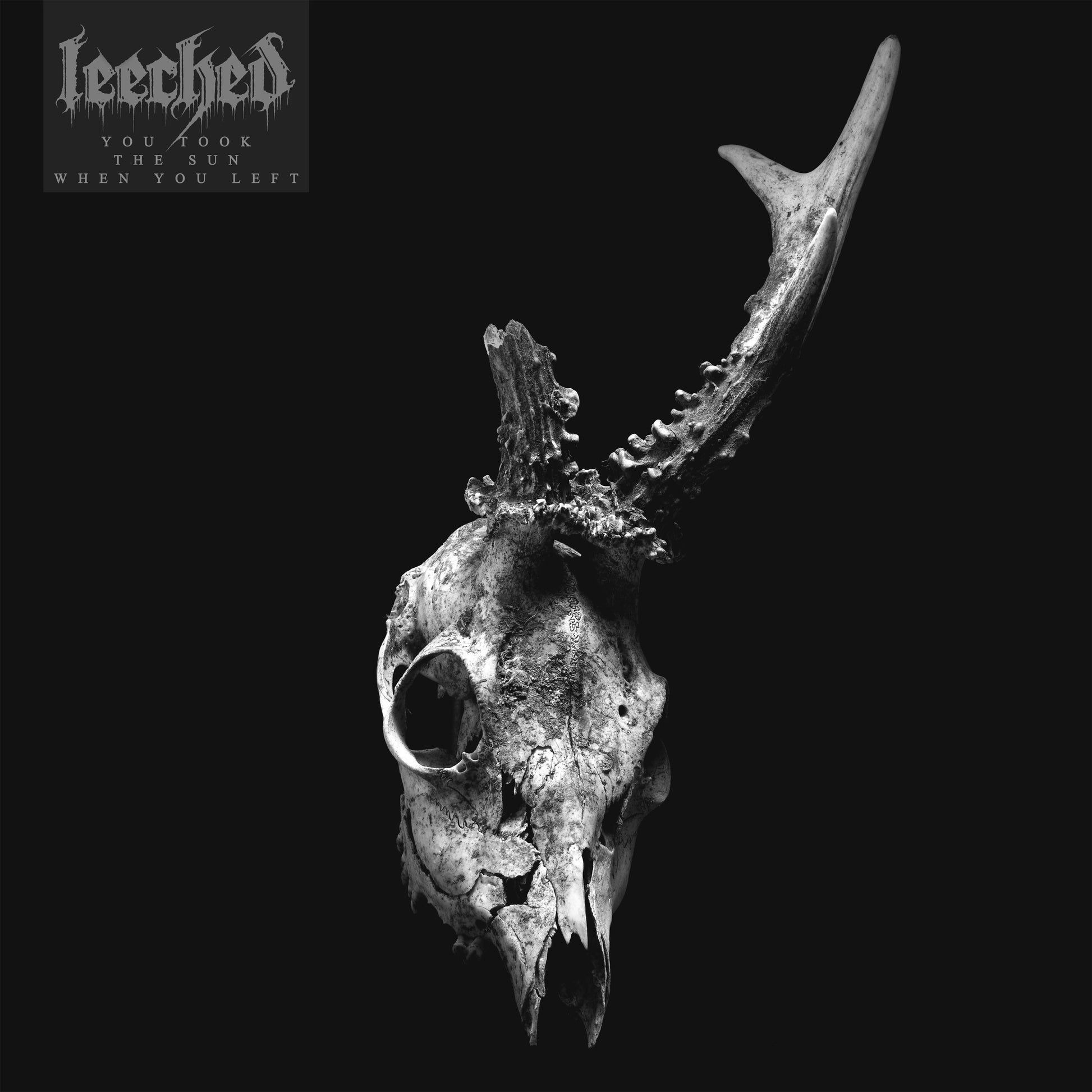 Leeched "You Took The Sun When You Left" Music CD