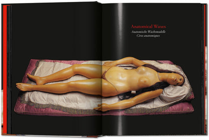 Anatomical Waxes. 45th Ed. (German, French, English) Book