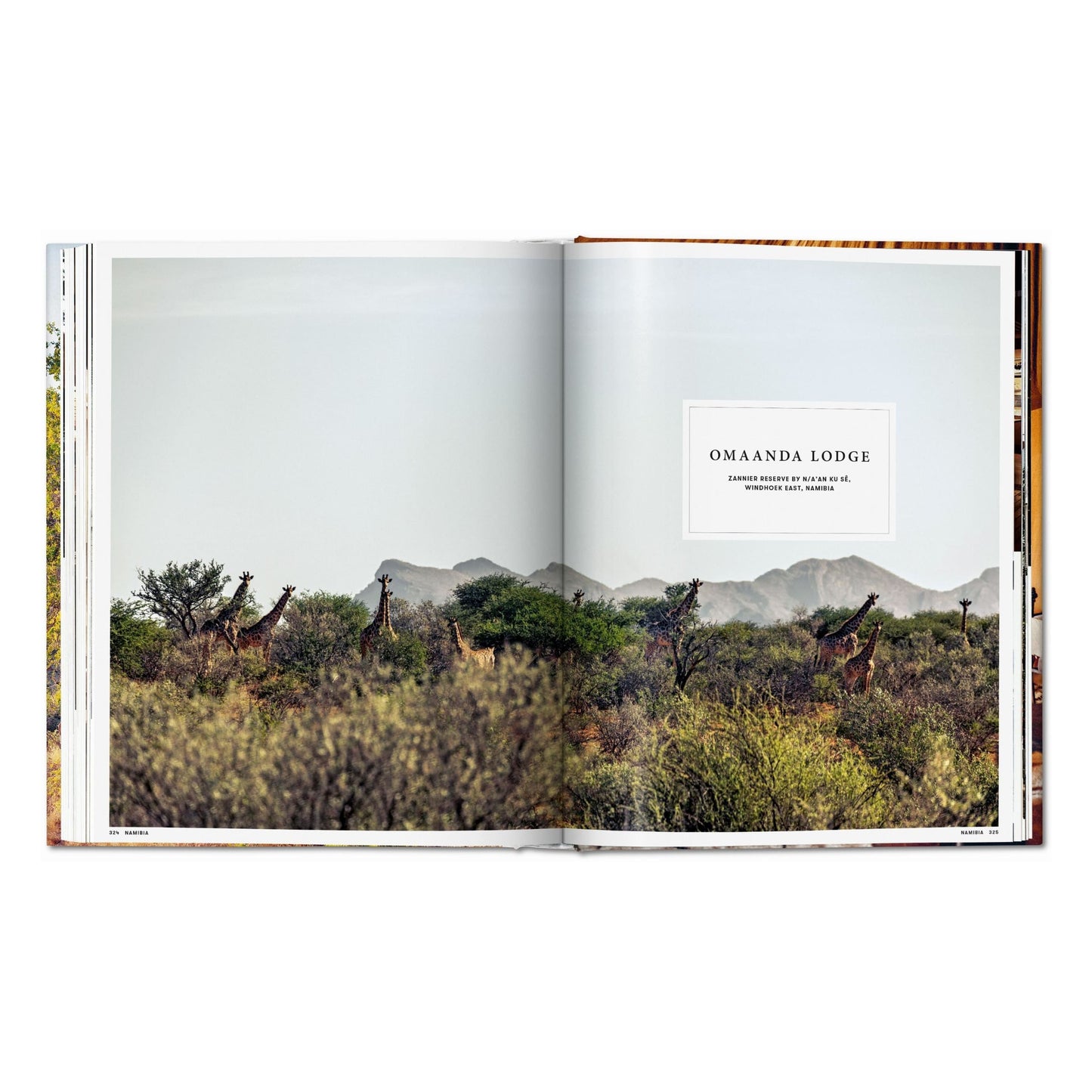 Great Escapes Africa. The Hotel Book (German, French, English) Book