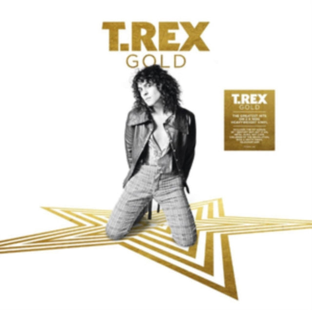 T. Rex - Gold - LP Vinyl Record