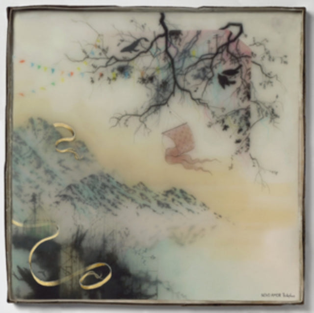 Novo Amor - Birthplace - LP Vinyl Record