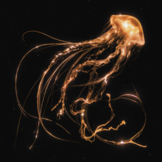 Royal Blood - Back To The Water Below Music CD