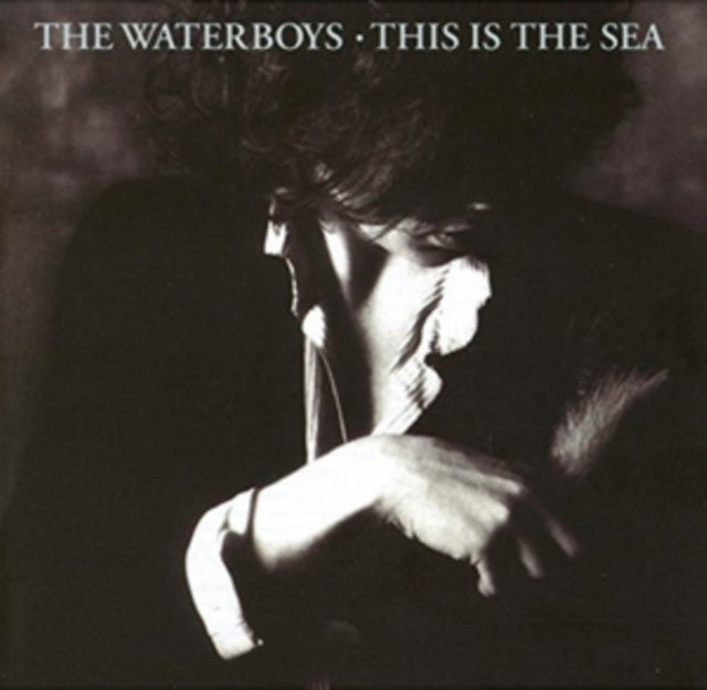Waterboys - This Is The Sea  Music CD