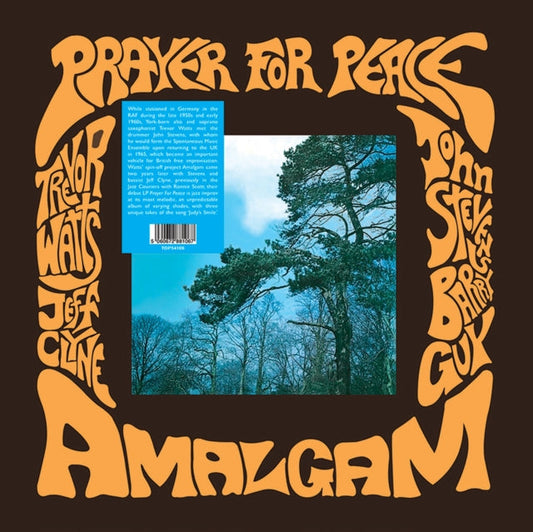 Amalgam - Prayer For Peace - LP Vinyl Record