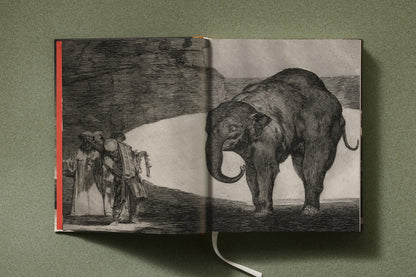 Goya. The Complete Prints (German, French, English) Book