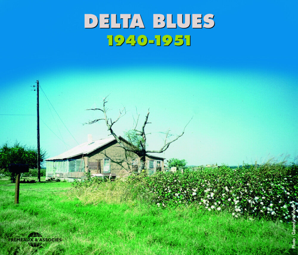 the album cover for Delta Blues 1940-1951 / Various - Delta Blues 1940-1951