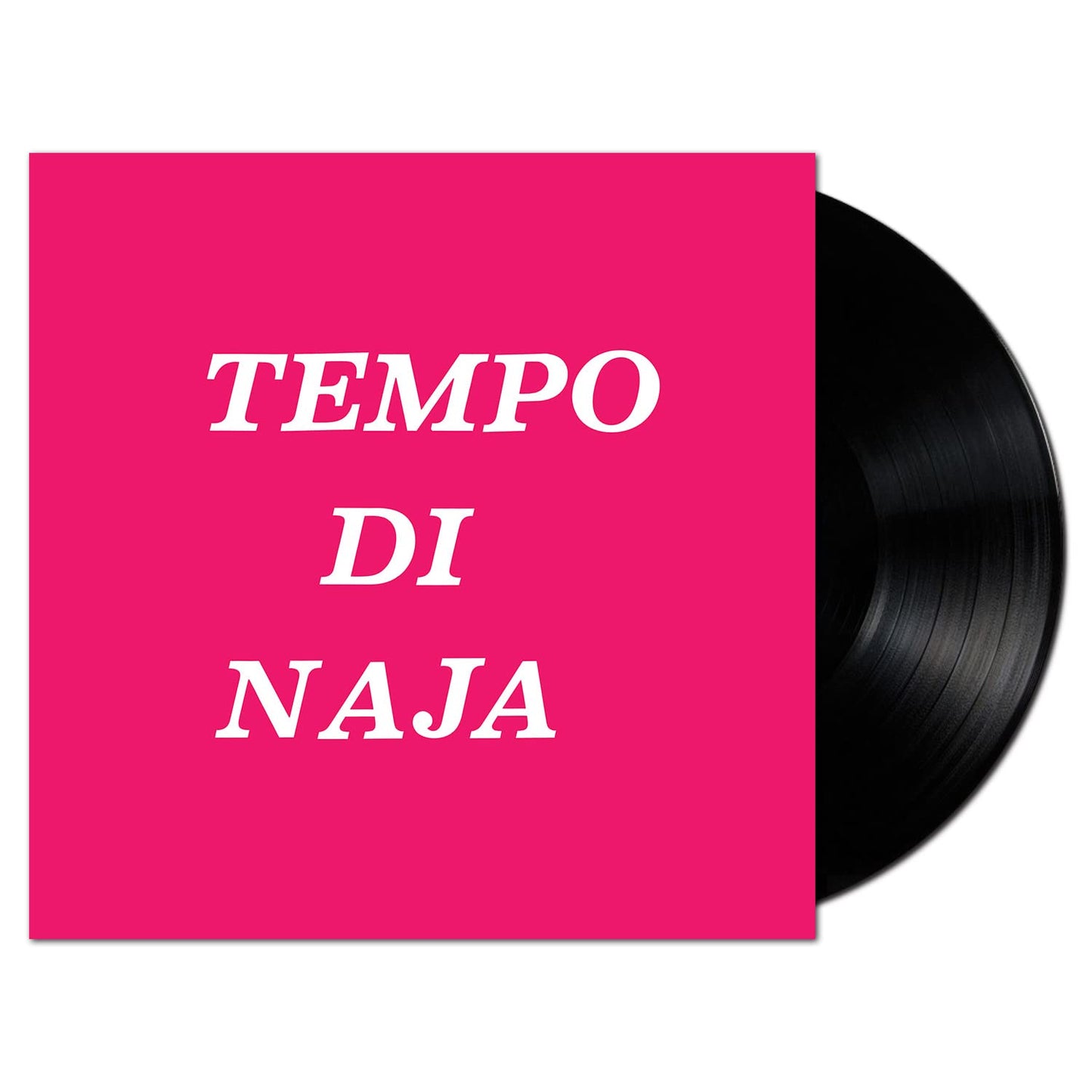 Ducros, Remigio - Tempo Di Naja [LP] Vinyl Record Album Cover