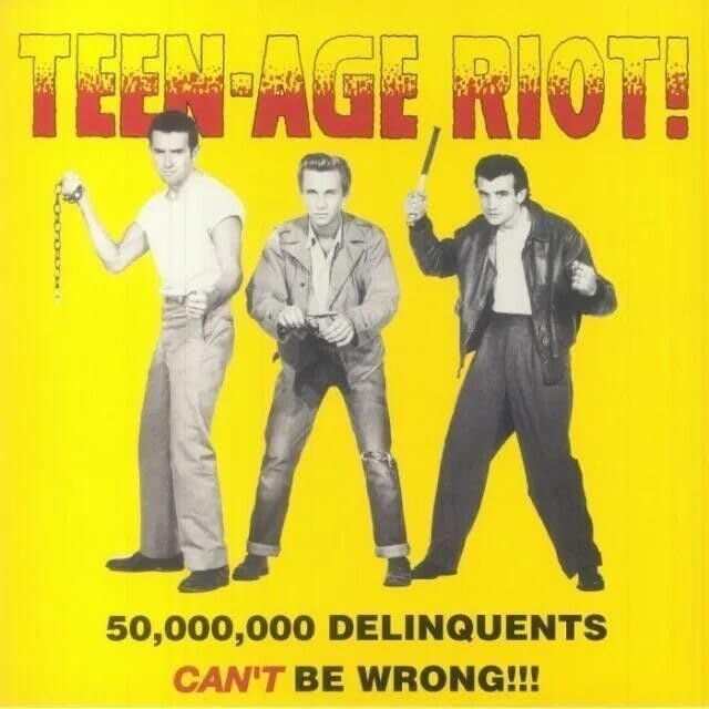 Teen-Age Riot: 50000000 Delinquents Can't Be Wrong - Teen-Age Riot: 50000000 Delinquents Can't Be Wrong [LP] Vinyl Record Album Cover