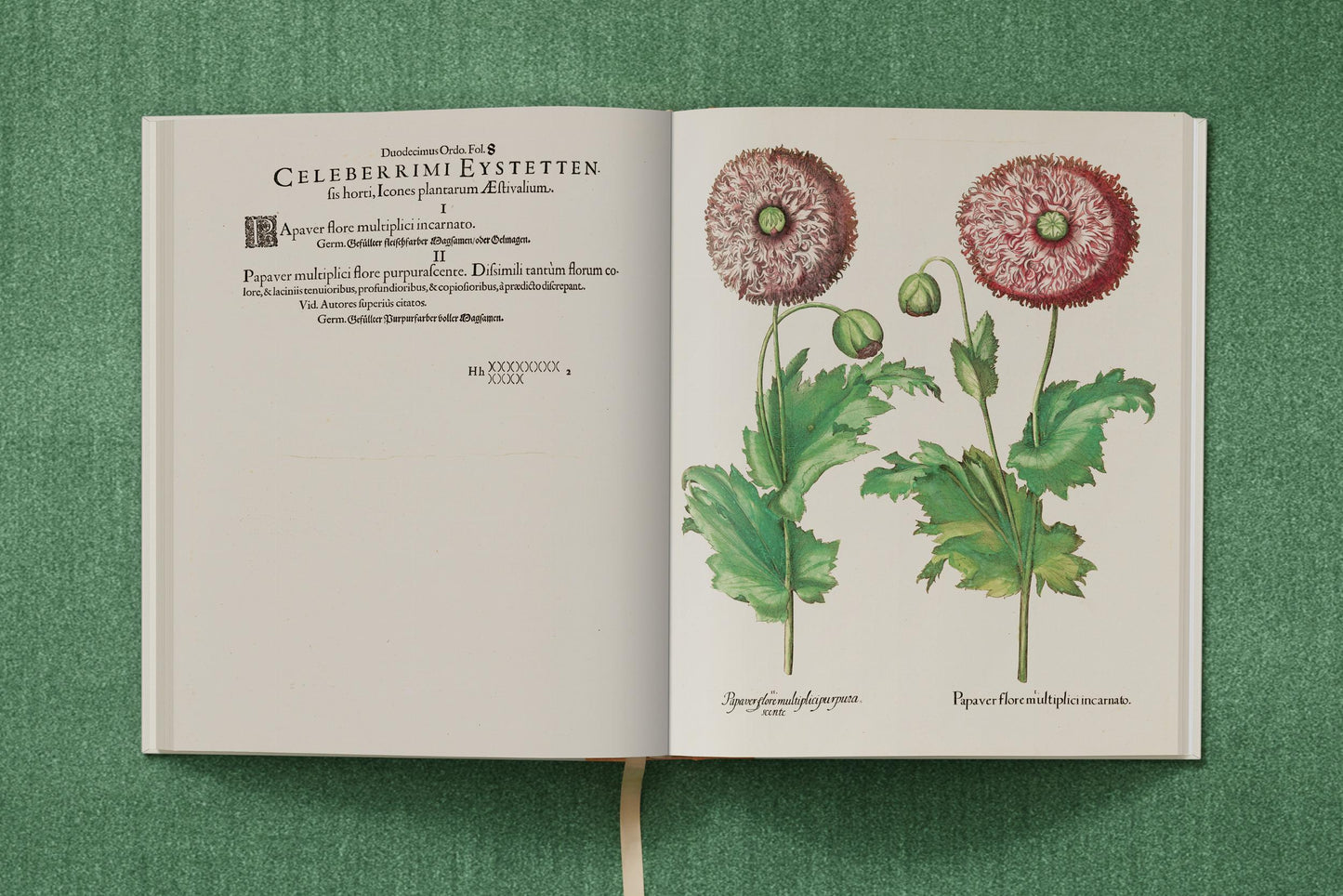 Basilius Besler. The Garden at Eichstätt (German, French, English) (FFE) Book