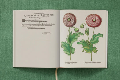 Basilius Besler. The Garden at Eichstätt (German, French, English) (FFE) Book
