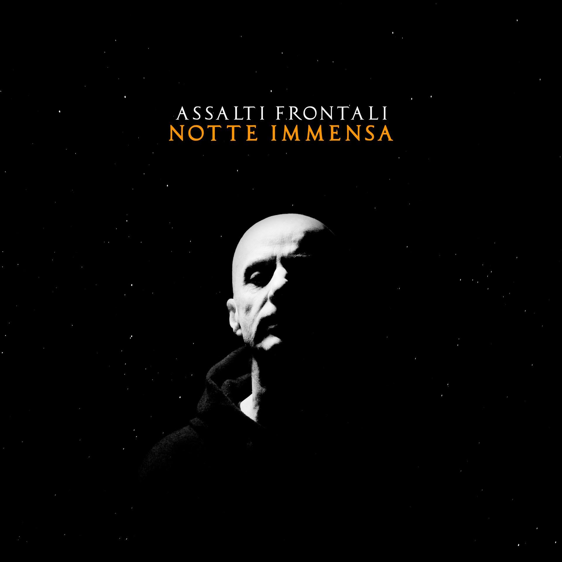 Assalti Frontali - Notte Immensa (Ita) [LP] Vinyl Record Album Cover