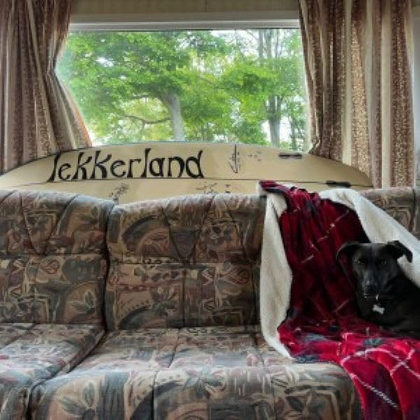 Lowery, Casey - Lekkerland - White Colored Vinyl [LP] Vinyl Record Album Cover