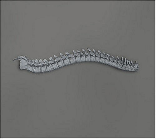 the album cover for Kill Memory Crash - When the Blood Turns Black