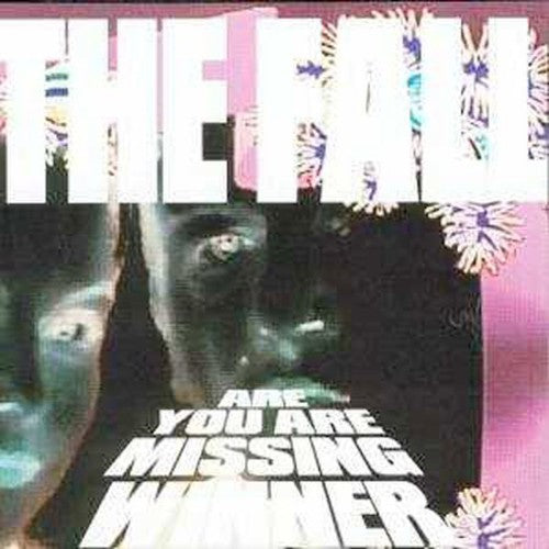 Fall - Are You Are Next Winner - Music CD