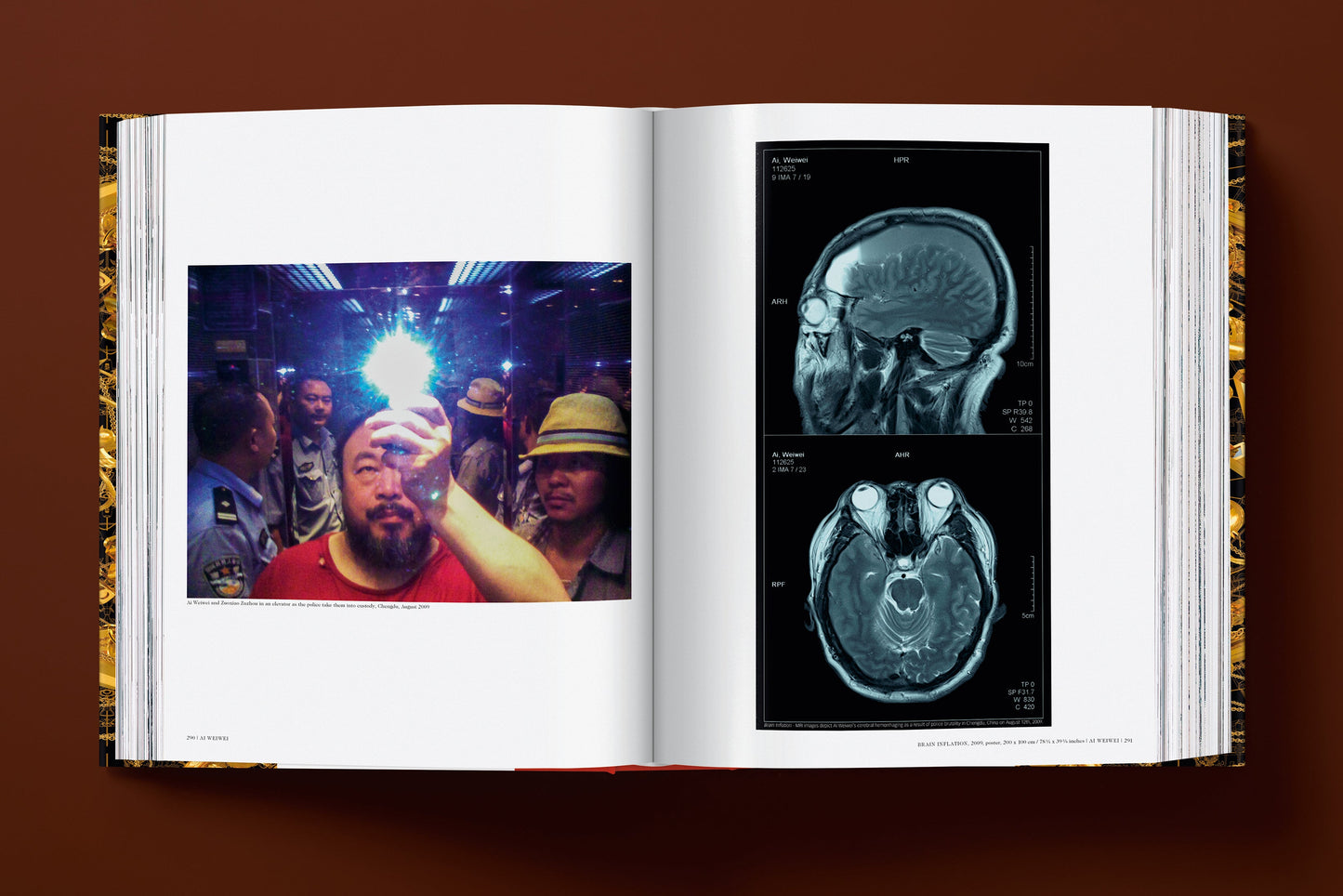Ai Weiwei. Updated Edition (German, French, English) Book