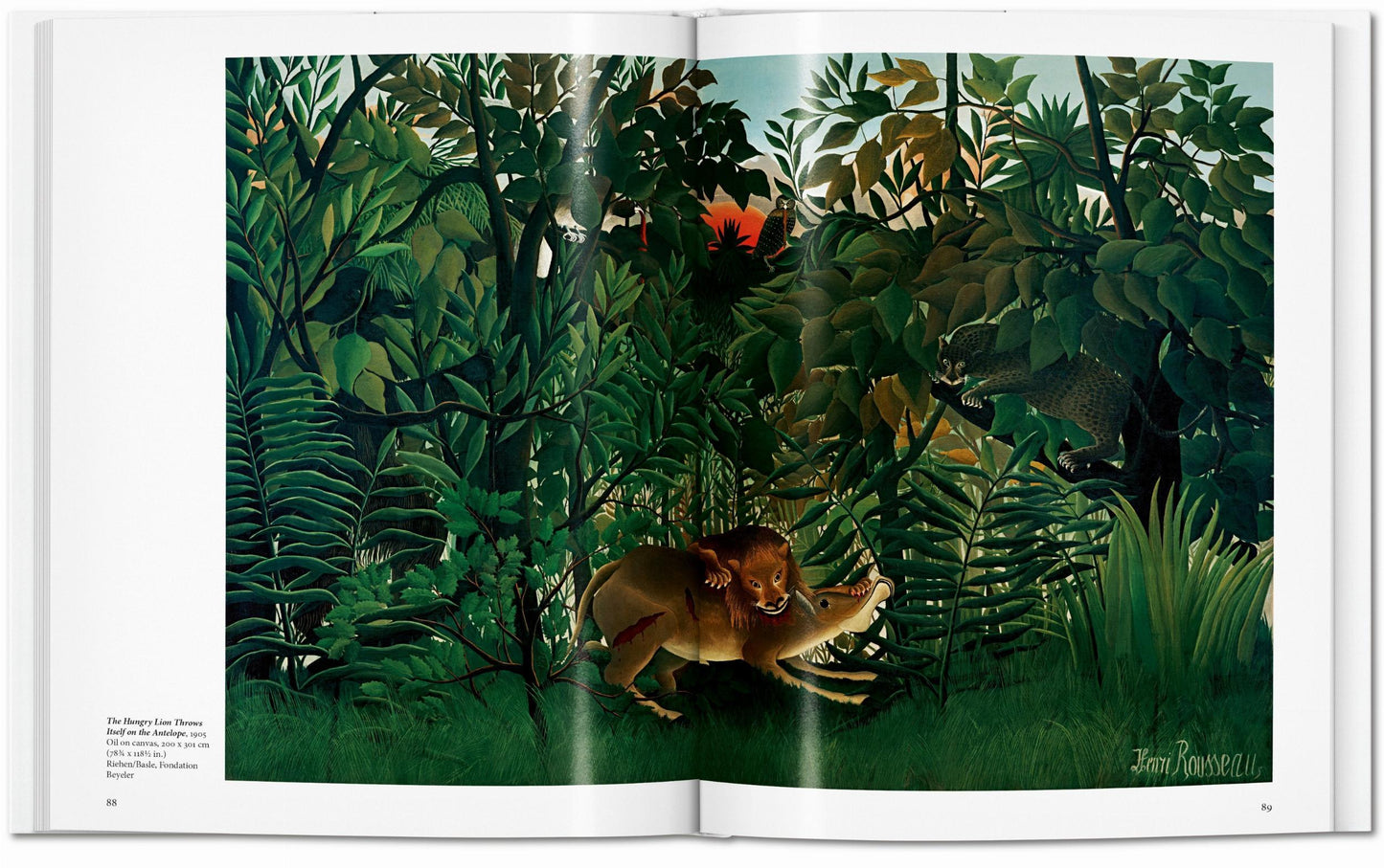 Rousseau (English) Book