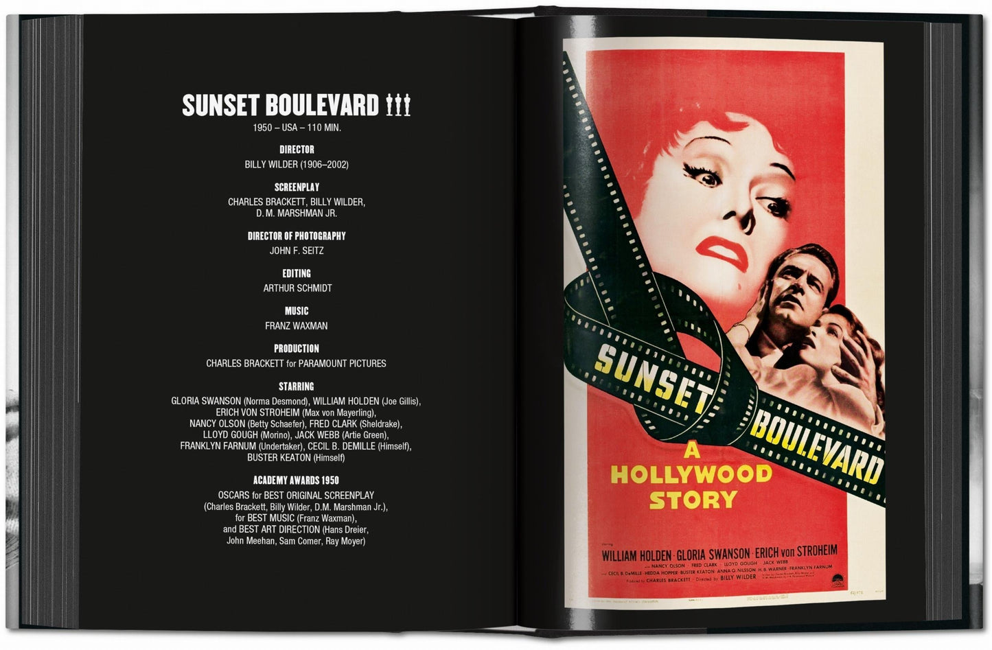 Film Noir (English) Book