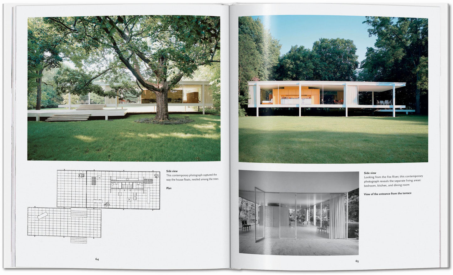 Mies van der Rohe (English) Book