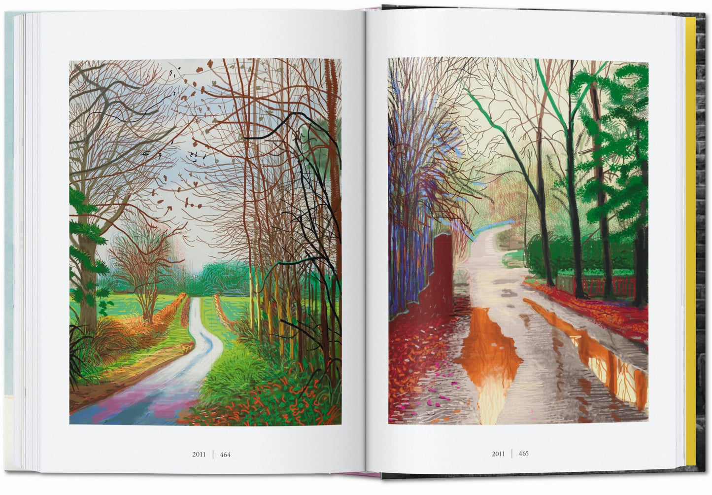 David Hockney. A Chronology. 45th Ed. (English) Book