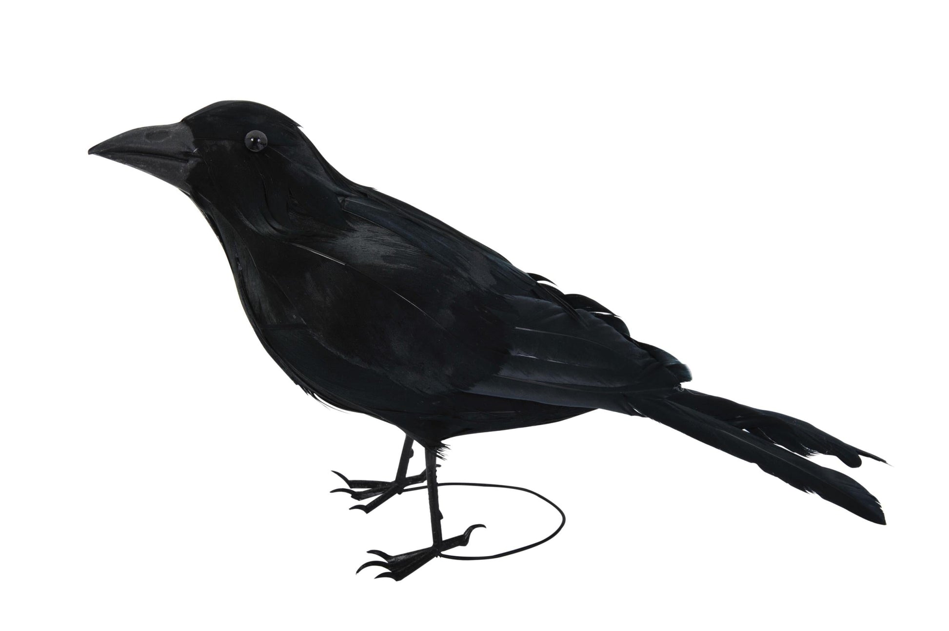 Realistic Giant Black Raven Bird Prop
