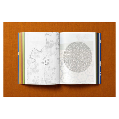 Francis Kéré. Building Stories (English) Book