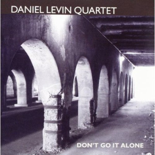 Levin,daniel - Don't Go It Alone - Music CD