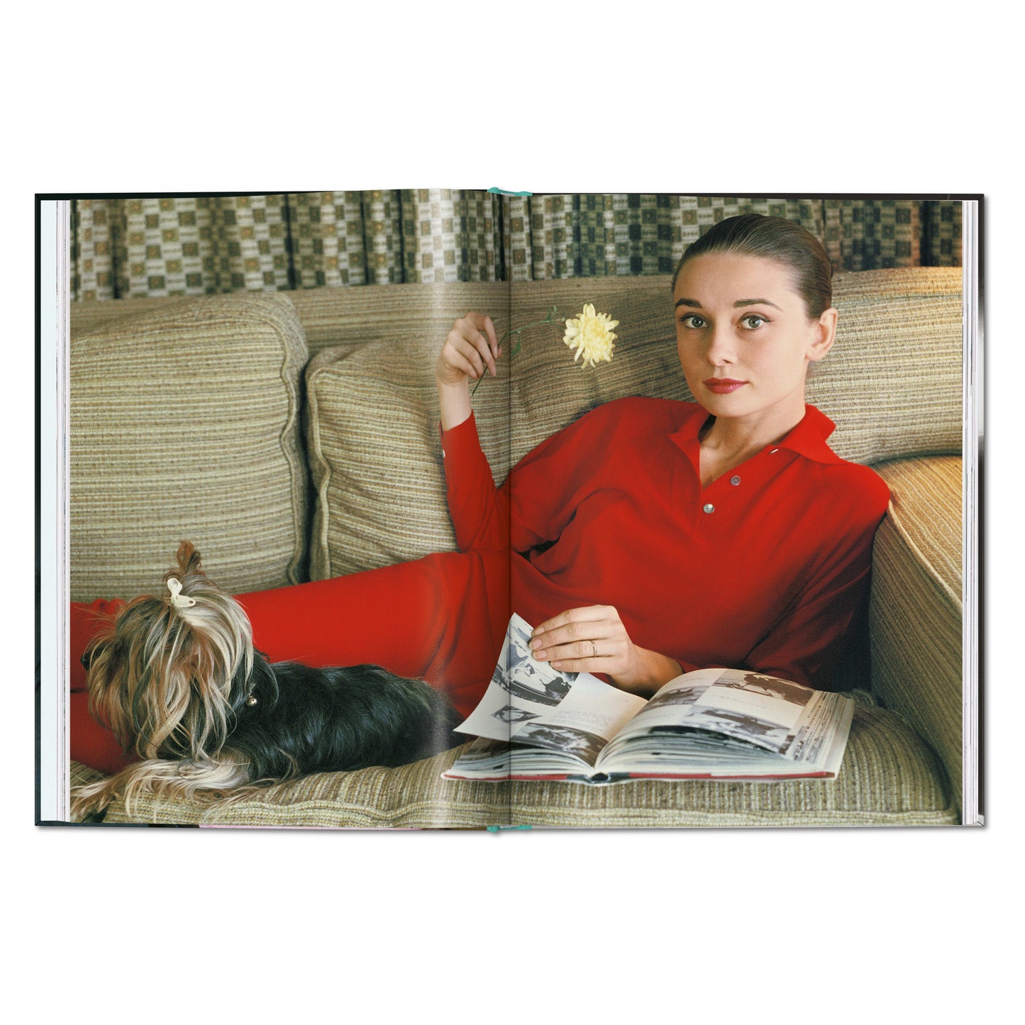 Bob Willoughby. Audrey Hepburn. Photographs 1953–1966 (English) Book